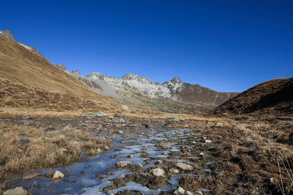 Paysage de tourbière alpine dans le Val d’Ela