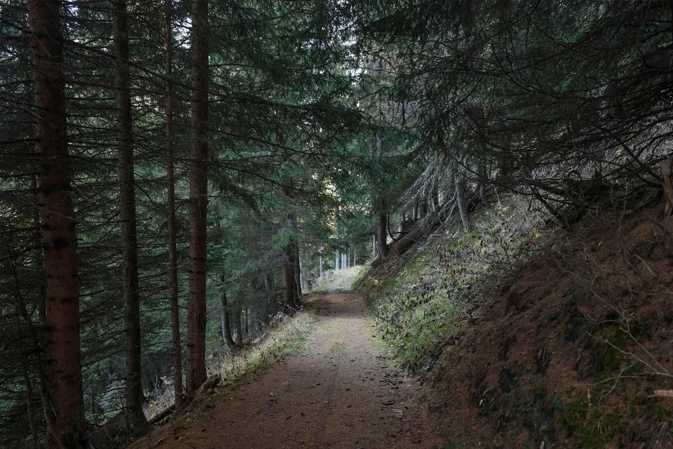 Sentier de randonnée vers la Chamanna d’Ela